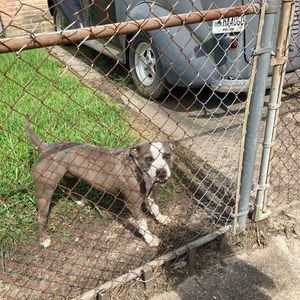 Meet your Posher, Jennefer